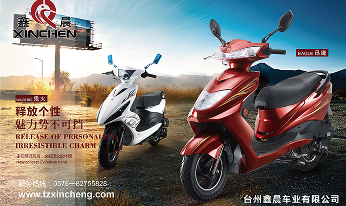 臺(tái)州鑫晨電動(dòng)有限公司